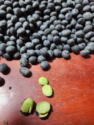 장안님의 자유주제 · 자유게시판 작성글 사진