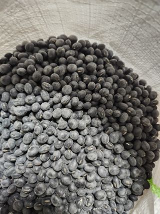 장안님의 자유주제 · 자유게시판 작성글 사진