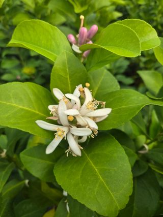 필라댄스농부님의 자유주제 · 자유게시판 작성글 사진