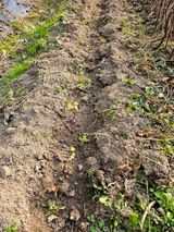 팜모닝 자유주제·자유게시판 게시글 이미지