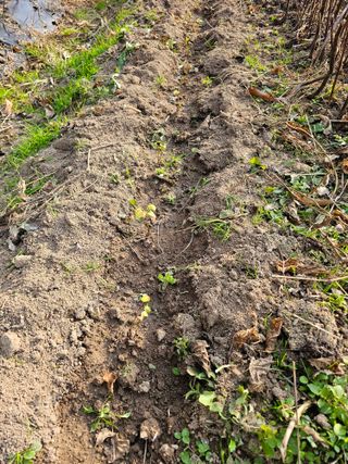 왕개미님의 자유주제 · 자유게시판 작성글 사진