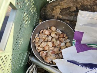 왕개미님의 자유주제 · 자유게시판 작성글 사진