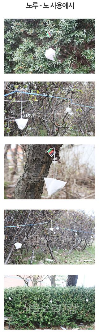 식물보호닷컴님의 작성글 사진