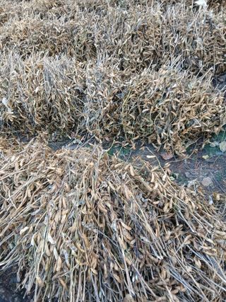 인생은 소풍처럼님의 자유주제 · 자유게시판 작성글 사진