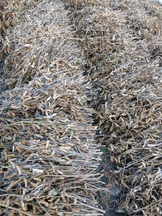 인생은 소풍처럼님의 자유주제 · 자유게시판 작성글 사진