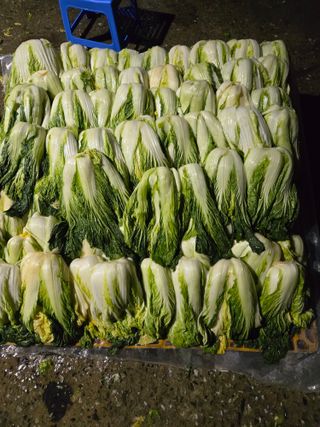 형설농원 정순정님의 우리집 김장 자랑하기 · 참여글 작성글 사진