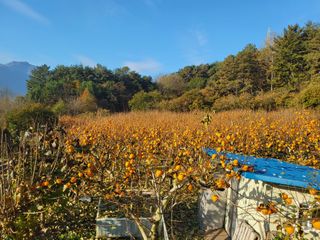 정수산님의 자유주제 · 자유게시판 작성글 사진