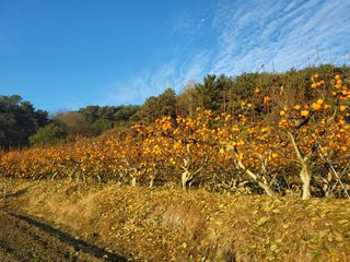정수산님의 자유주제 · 자유게시판 작성글 사진