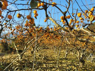 정수산님의 자유주제 · 자유게시판 작성글 사진