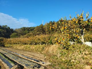 정수산님의 자유주제 · 자유게시판 작성글 사진