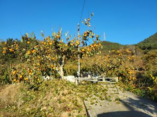 정수산님의 자유주제 · 자유게시판 작성글 사진