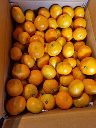 부금리(금강농원)님의 작성글 사진