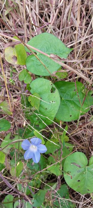 감성토끼님의 자유주제 · 자유게시판 작성글 사진