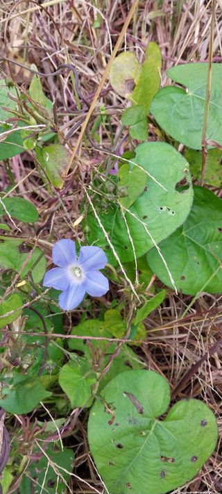 감성토끼님의 자유주제 · 자유게시판 작성글 사진