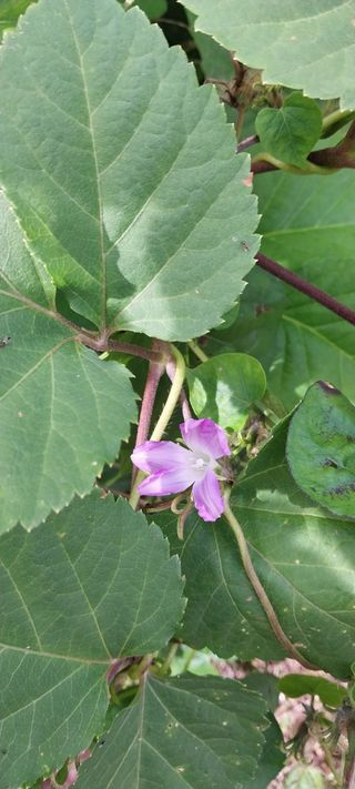 감성토끼님의 자유주제 · 자유게시판 작성글 사진