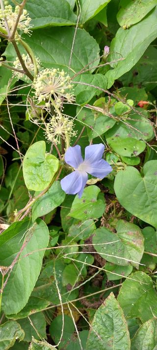 감성토끼님의 자유주제 · 자유게시판 작성글 사진
