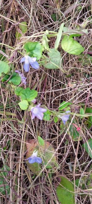 감성토끼님의 자유주제 · 자유게시판 작성글 사진