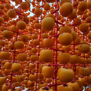 백용기님의 자유주제 · 자유게시판 작성글 사진