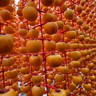 백용기님의 자유주제 · 자유게시판 작성글 사진