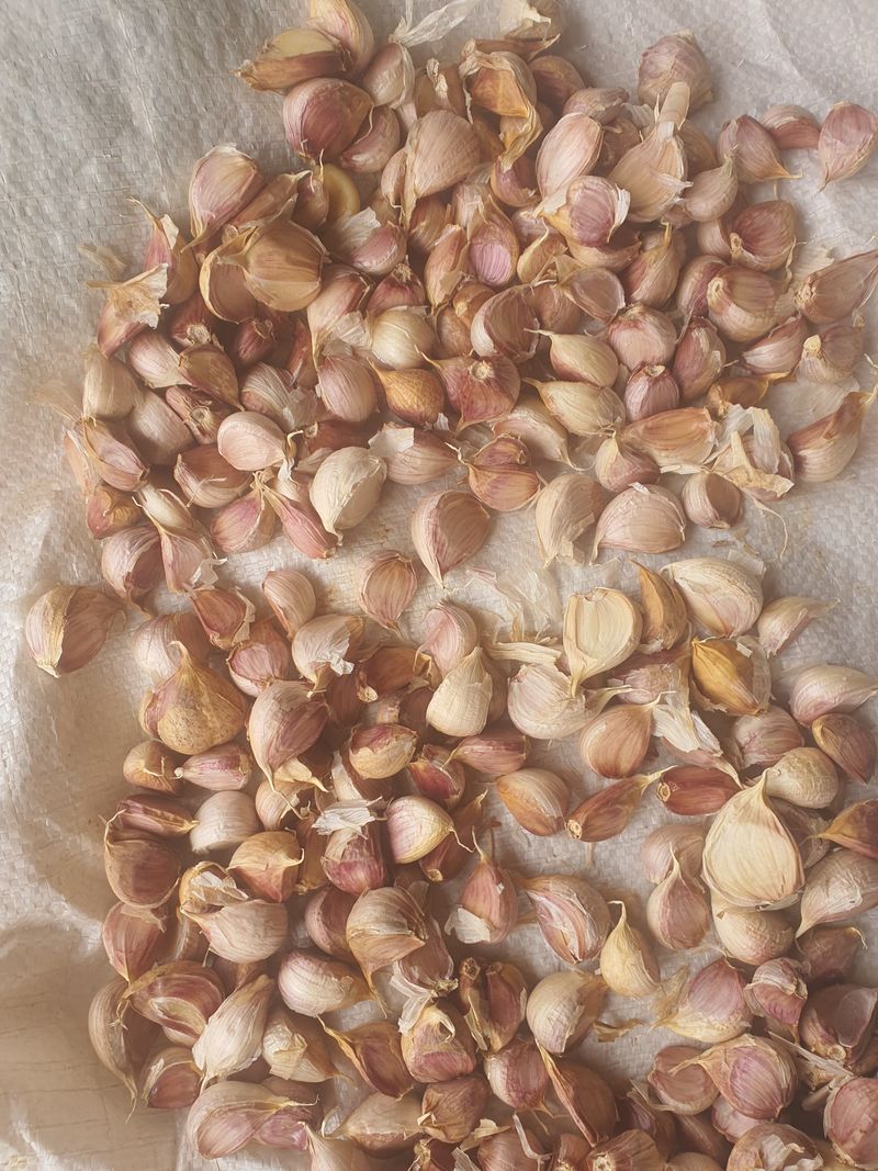 그린팜님의 장터 판매 상품 [무안쪼갠마늘12kg] 첨부 사진