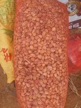 팜모닝 · 게시글 이미지