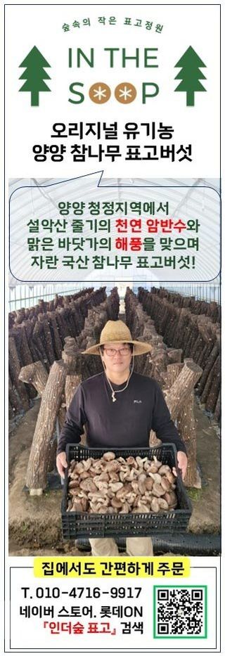 인더숲 님의 작성글 사진