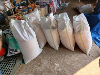 알 수 없음님의 자유주제 · 자유게시판 작성글 사진