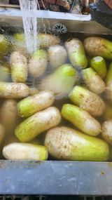 팜모닝 자유주제·자유게시판 게시글 이미지