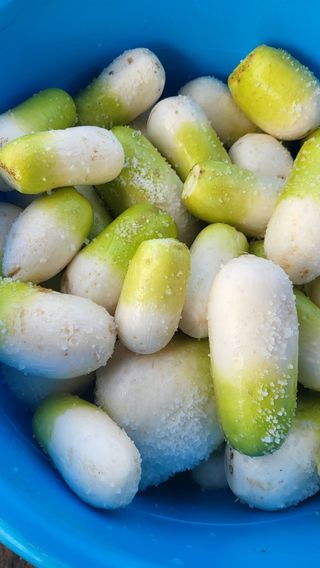 방촌대장님의 자유주제 · 자유게시판 작성글 사진