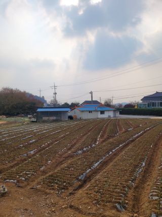 이상숙님의 자유주제 · 자유게시판 작성글 사진