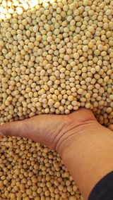 팜모닝 · 게시글 이미지