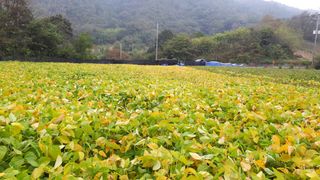 생명샘님의 작성글 사진