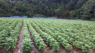 생명샘님의 작성글 사진