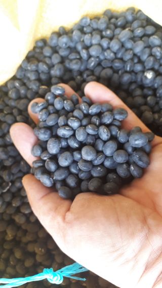 생명샘님의 작성글 사진