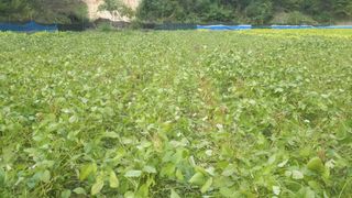 생명샘님의 작성글 사진