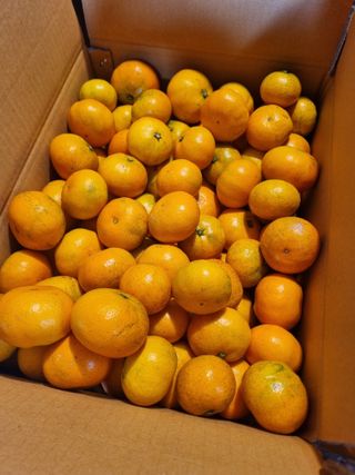 부금리(금강농원)님의 작성글 사진