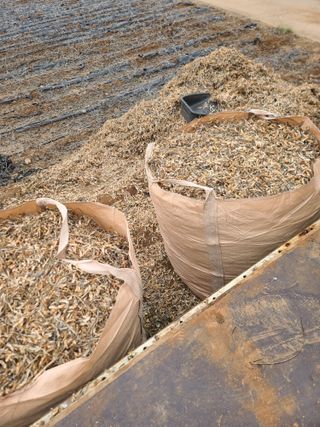 신경여님의 들깨 · 영농일지 작성글 사진