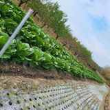 팜모닝 자유주제·자유게시판 게시글 이미지