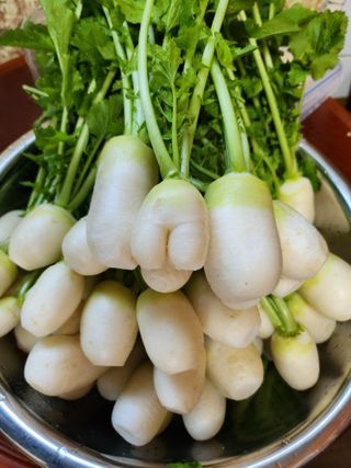 복숭아님의 자유주제 · 자유게시판 작성글 사진