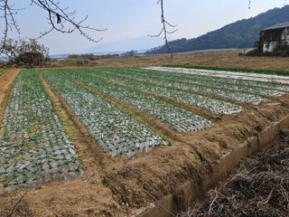 백호순(후추)님의 자유주제 · 자유게시판 작성글 사진