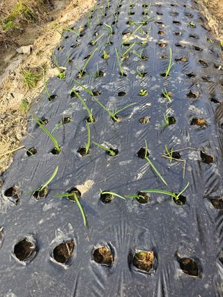 왕개미님의 자유주제 · 자유게시판 작성글 사진