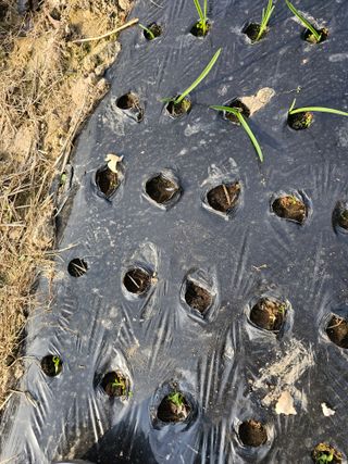 왕개미님의 자유주제 · 자유게시판 작성글 사진