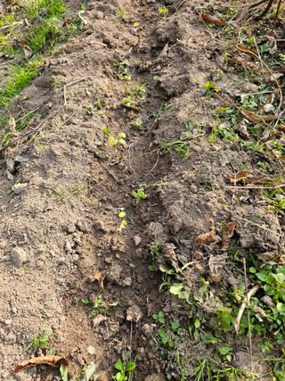 왕개미님의 자유주제 · 자유게시판 작성글 사진