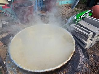 왕개미님의 자유주제 · 자유게시판 작성글 사진