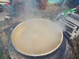 왕개미님의 자유주제 · 자유게시판 작성글 사진