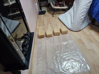 왕개미님의 자유주제 · 자유게시판 작성글 사진