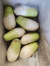 팜모닝 · 게시글 이미지