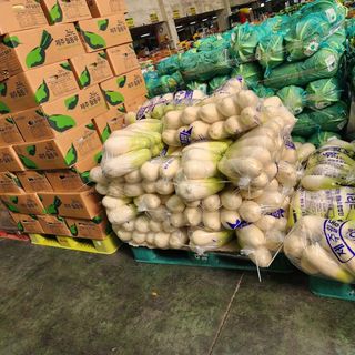 돌하루방농원(이미정님의 작성글 사진