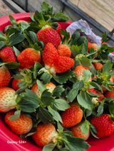 팜모닝 자유주제·자유게시판 게시글 이미지