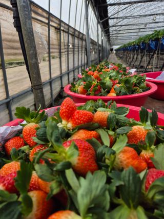 안성화님의 자유주제 · 자유게시판 작성글 사진